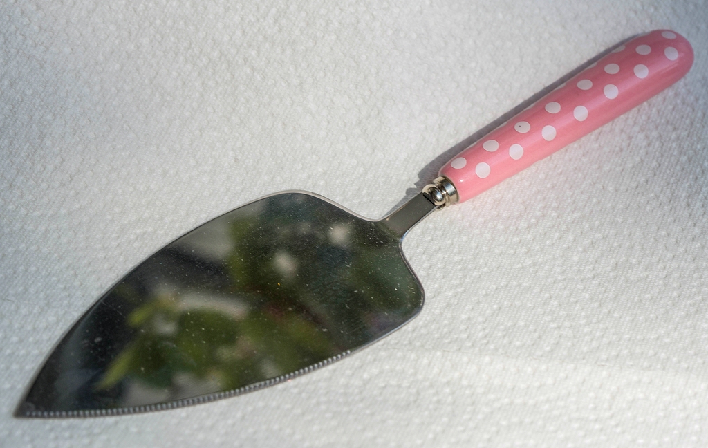 Cake Server
