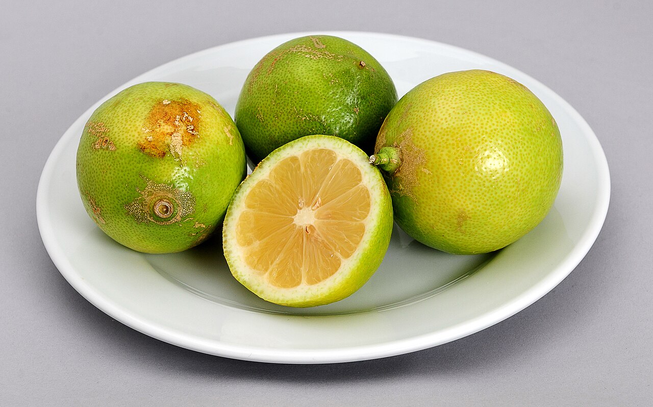 Tableware