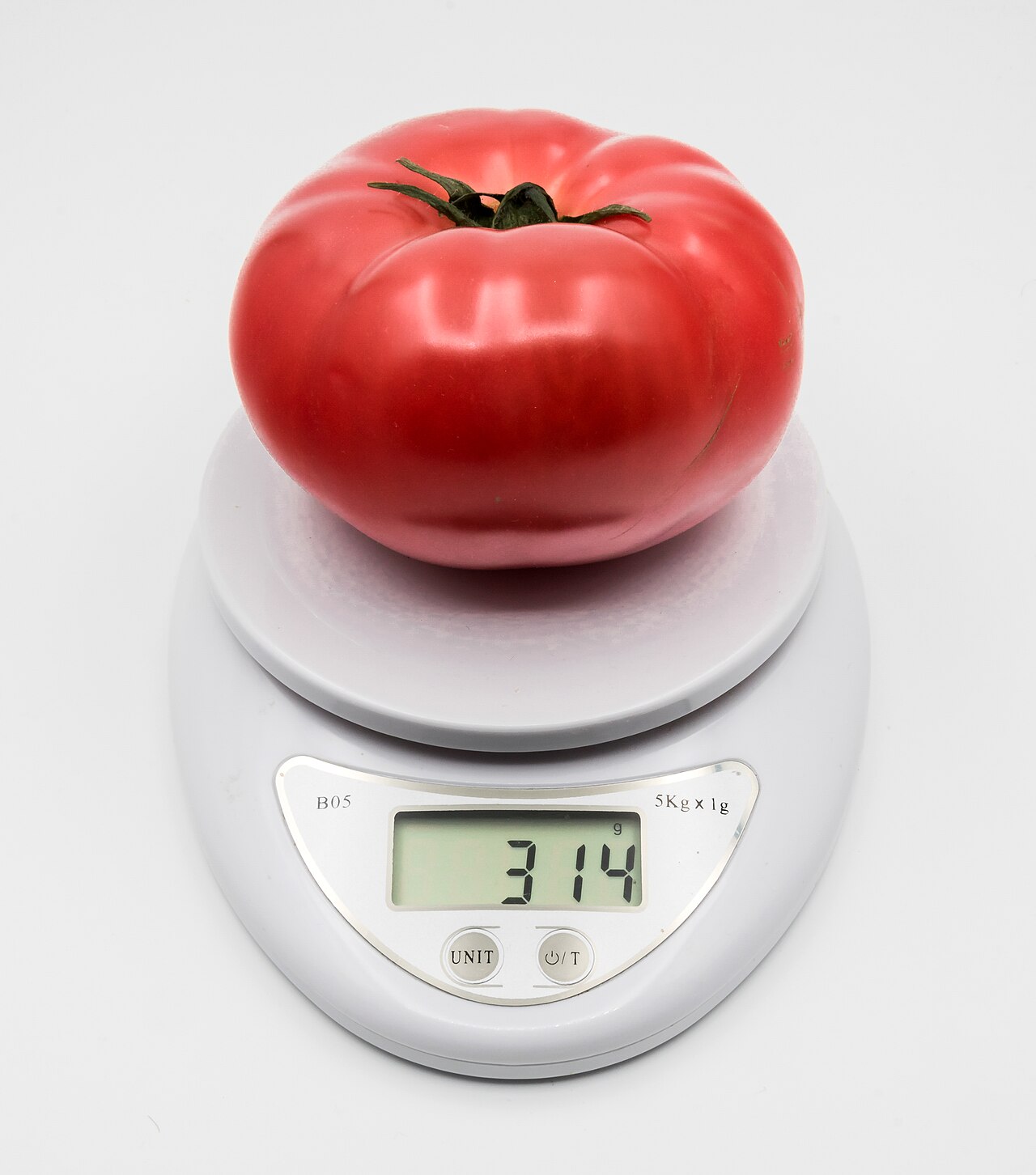 Digital Kitchen Scale