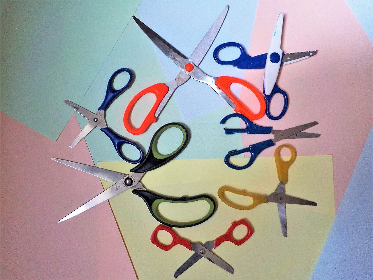 Kitchen Scissors