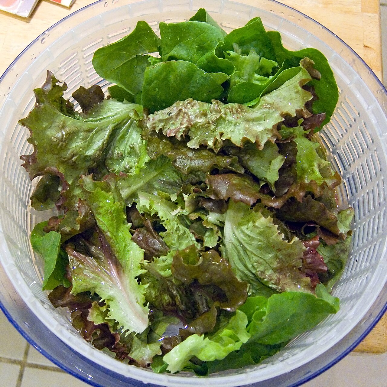 Salad Spinner